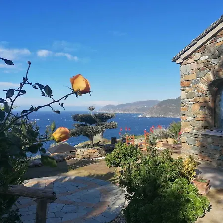 Coin De Paradis Avec Vue Unique Sur La Et La Tour Genoise